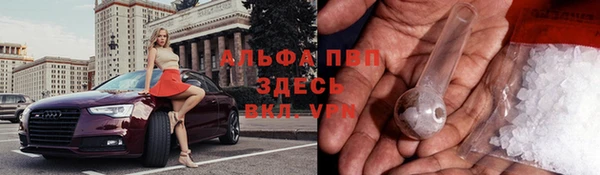 шишки Аркадак