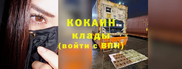 шишки Аркадак