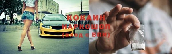 шишки Аркадак
