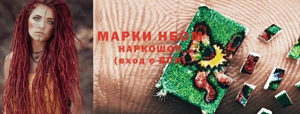 шишки Аркадак