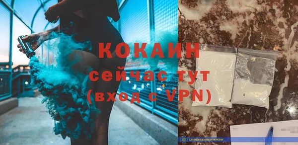 шишки Аркадак