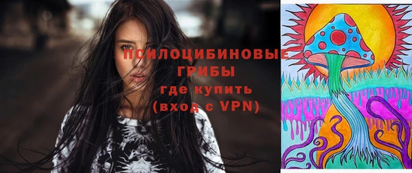 шишки Аркадак